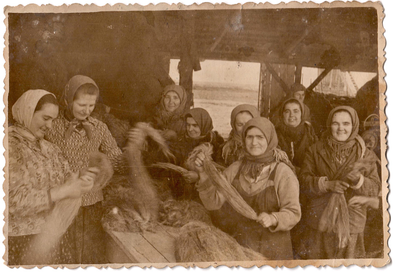 Ланкові в колгоспі
