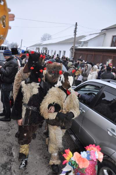 переберія у ваш ківцях 2013рік